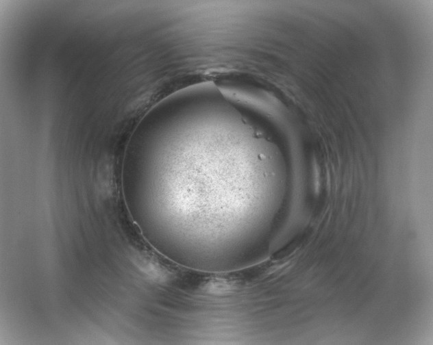 X0000065260416200602171500