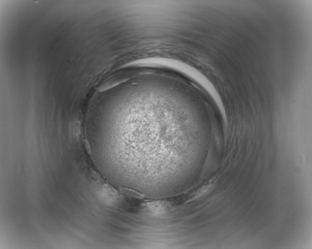 X0000065260417200602171500