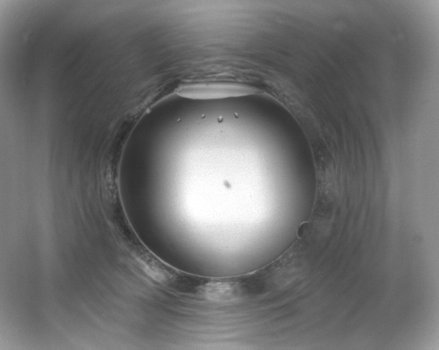 X0000065260418200602171500