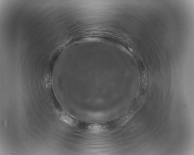 X0000065260419200602171500