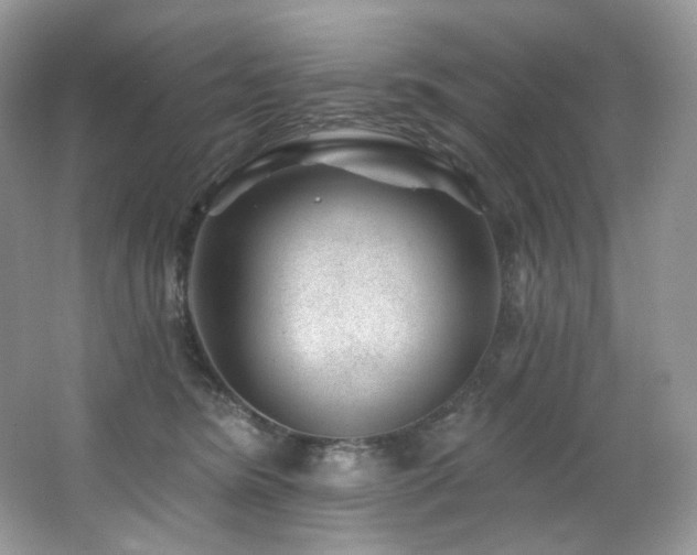 X0000065260420200602171500