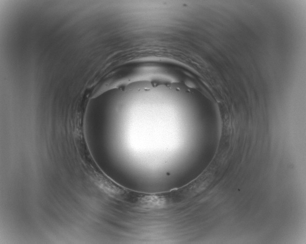 X0000065260421200602171500