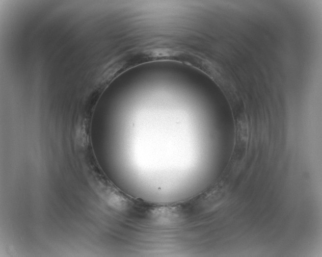 X0000065260422200602171500