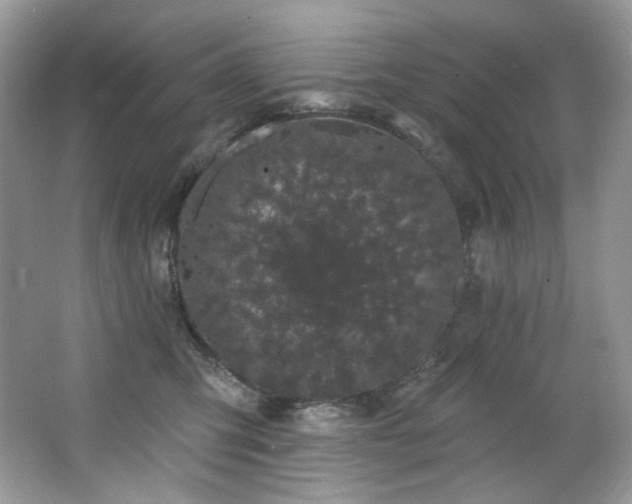 X0000065260423200602171459