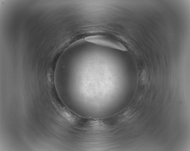 X0000065260424200602171459