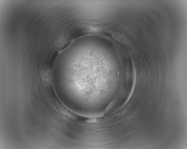 X0000065260425200602171459