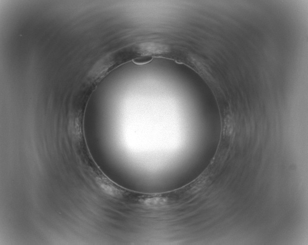 X0000065260426200602171459