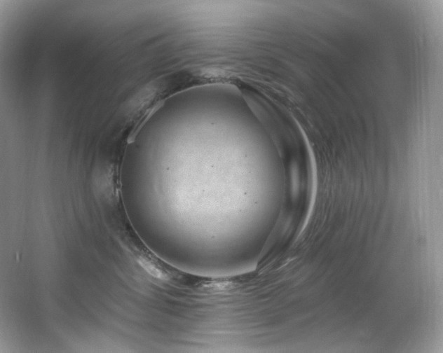 X0000065260428200602171459