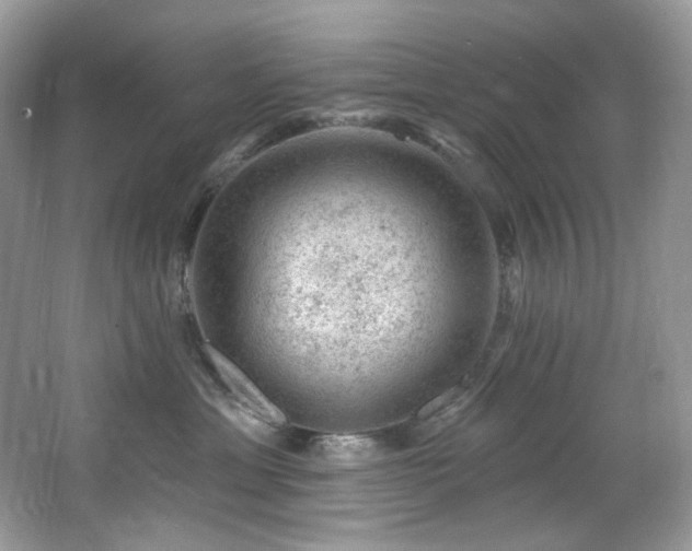 X0000065260429200602171459