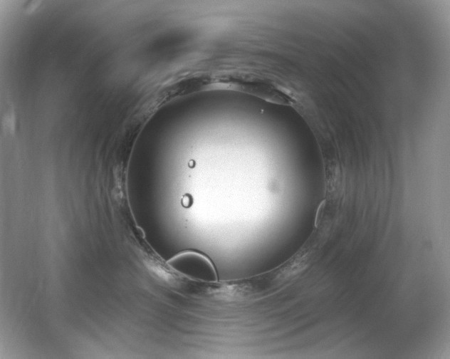 X0000065260430200602171459