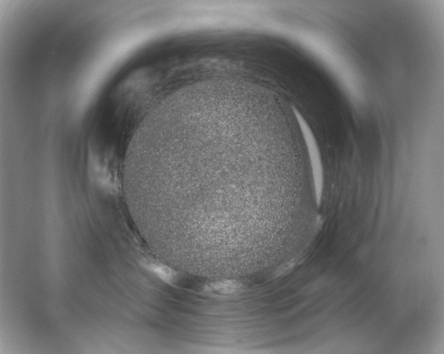 X0000065260431200602171459