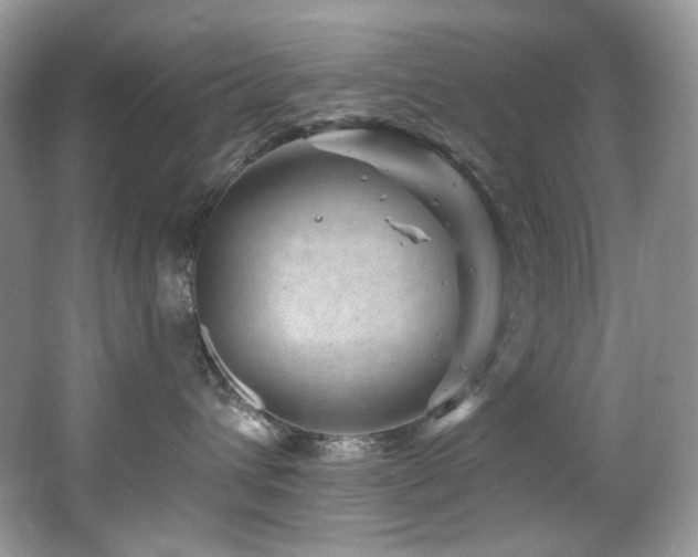 X0000065260432200602171459