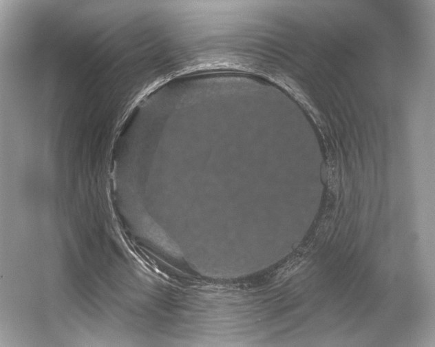 X0000065260434200602171459