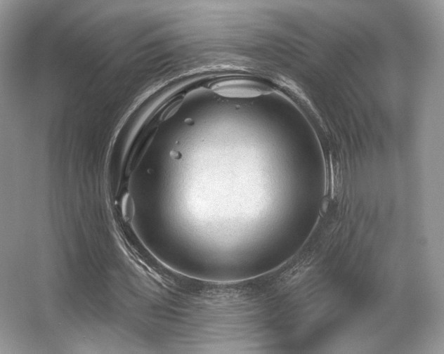 X0000065260435200602171459