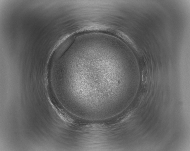 X0000065260436200602171459