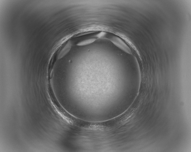 X0000065260437200602171459