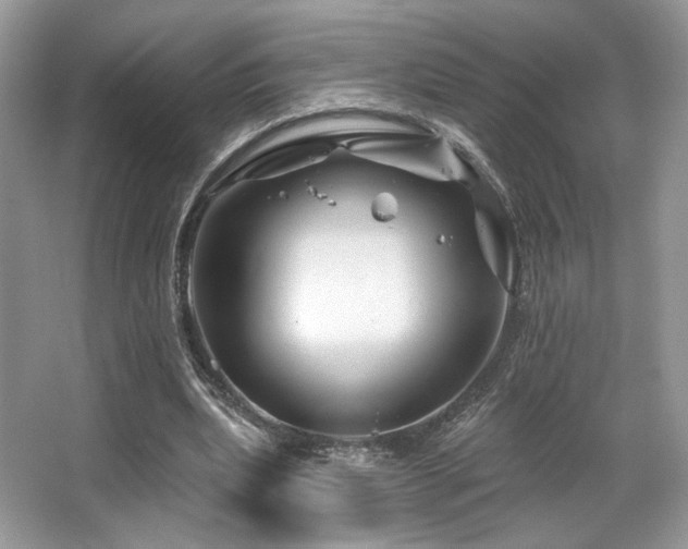 X0000065260439200602171459