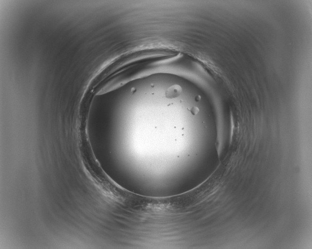 X0000065260440200602171459