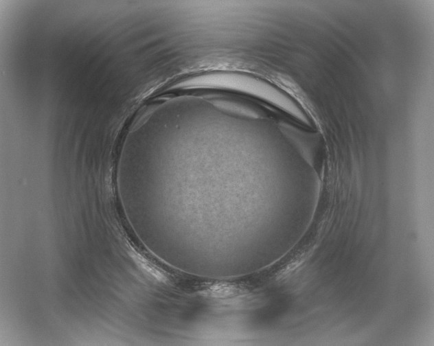 X0000065260441200602171459