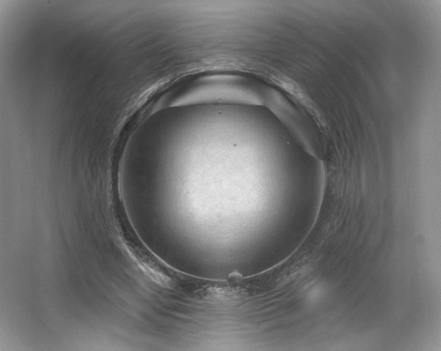 X0000065260442200602171459