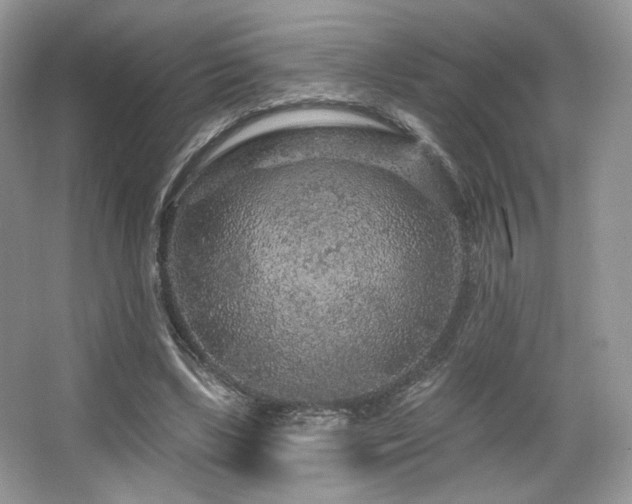 X0000065260443200602171459