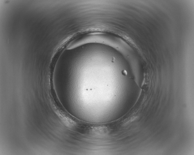 X0000065260446200602171459