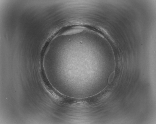 X0000065260447200602171459