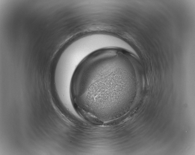 X0000065260448200602171459