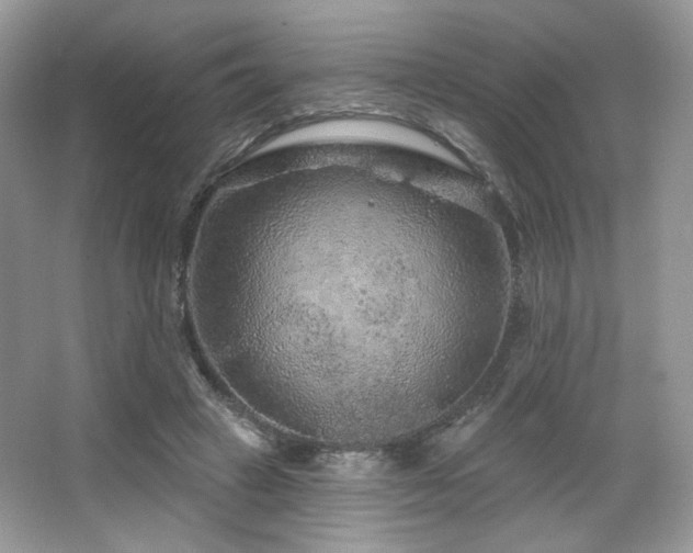 X0000065260449200602171459