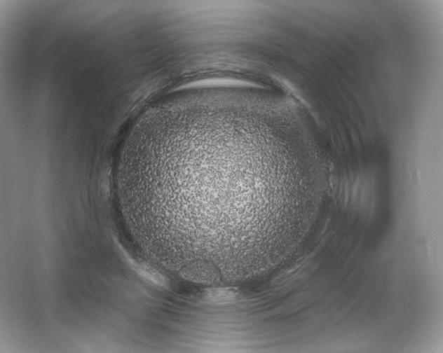 X0000065260451200602171459