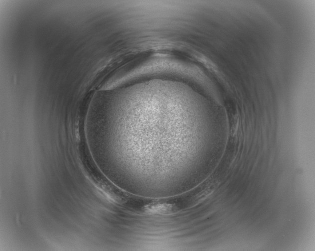 X0000065260452200602171459