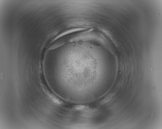 X0000065260453200602171459