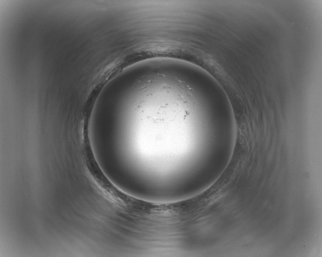 X0000065260454200602171459