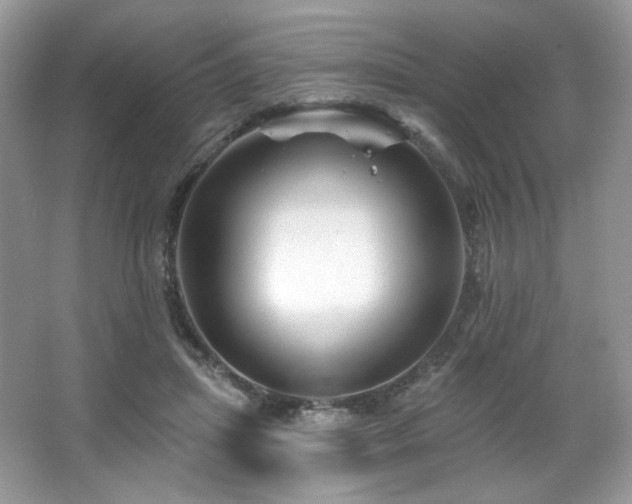 X0000065260455200602171459