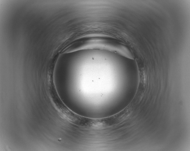 X0000065260456200602171459