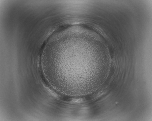 X0000065260458200602171459