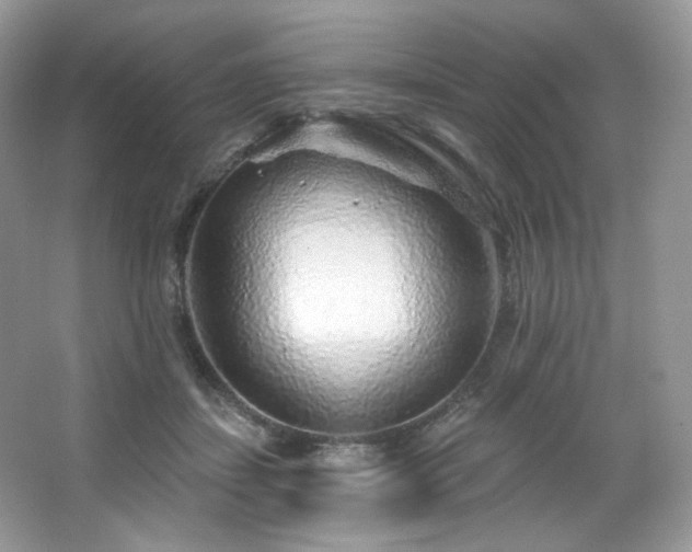 X0000065260459200602171459