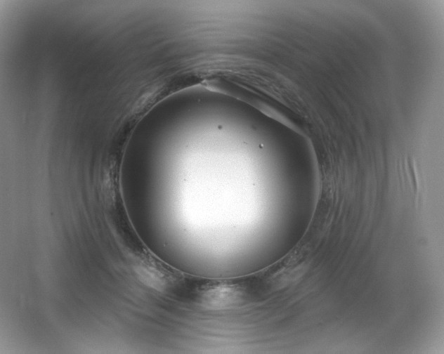 X0000065260460200602171459