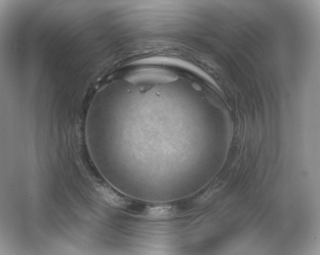 X0000065260461200602171459