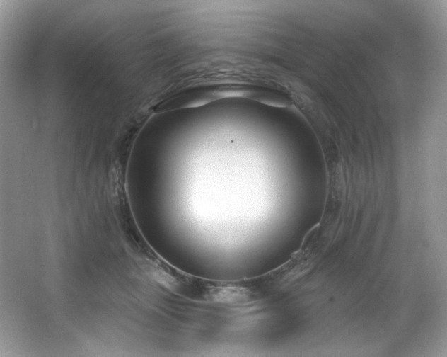 X0000065260463200602171459