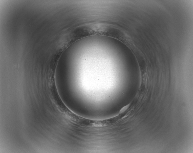 X0000065260464200602171459