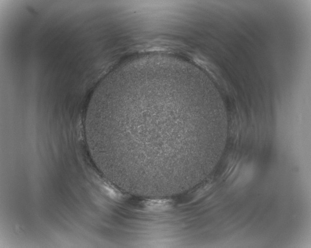 X0000065260465200602171459