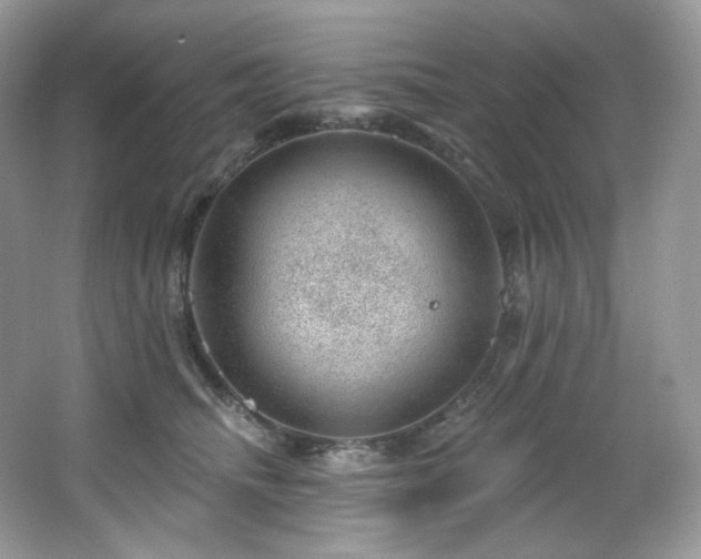 X0000065260468200602171459