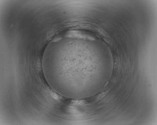 X0000065260469200602171459