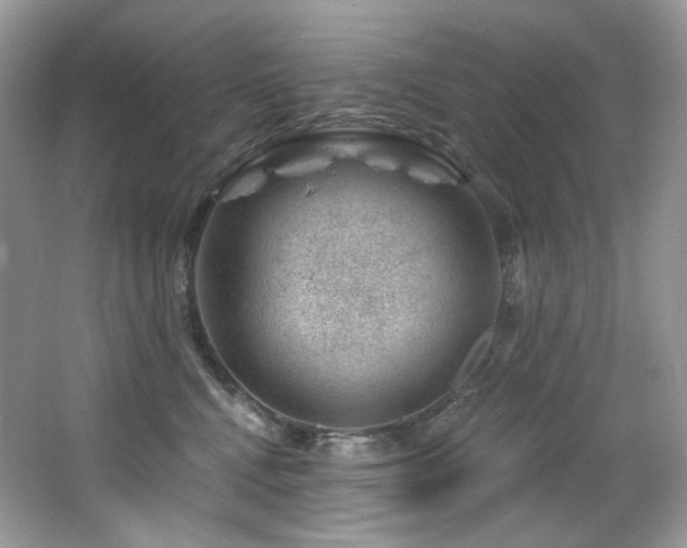 X0000065260472200602171459