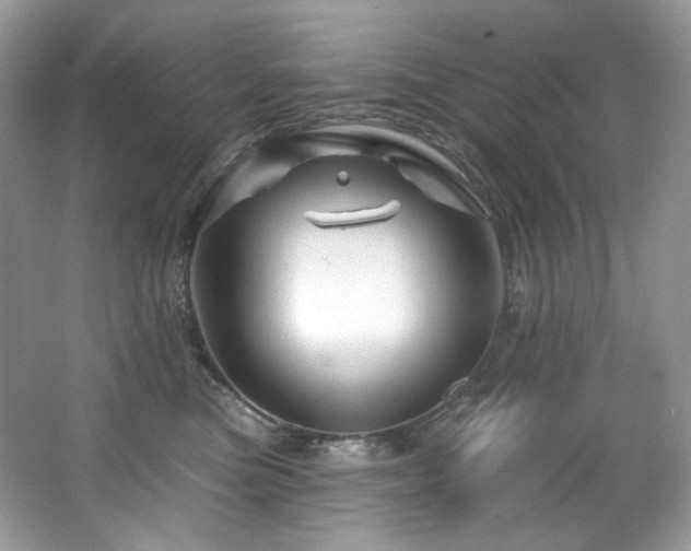 X0000065260473200602171459