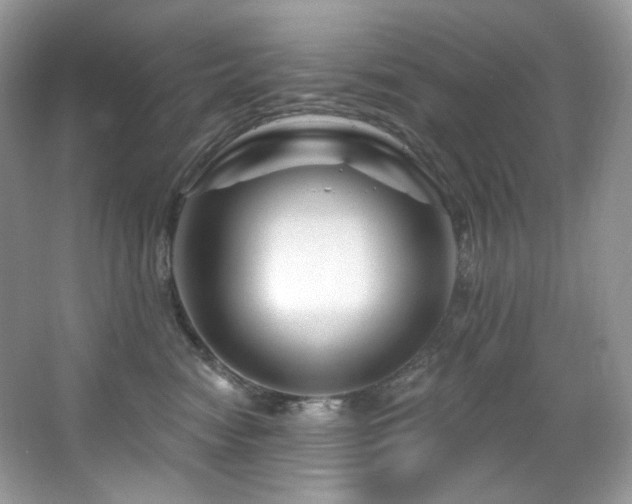 X0000065260474200602171459