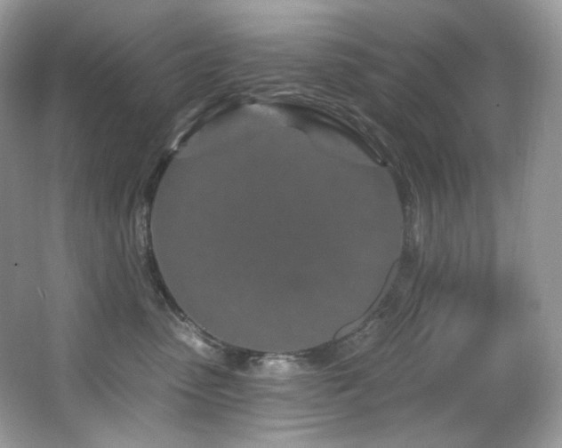 X0000065260475200602171459