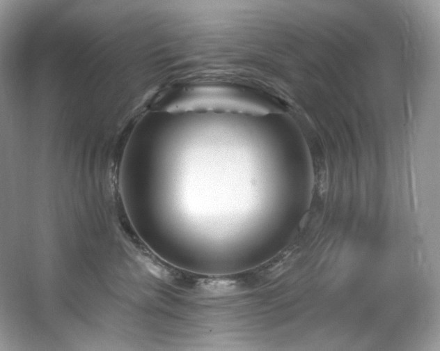 X0000065260476200602171459