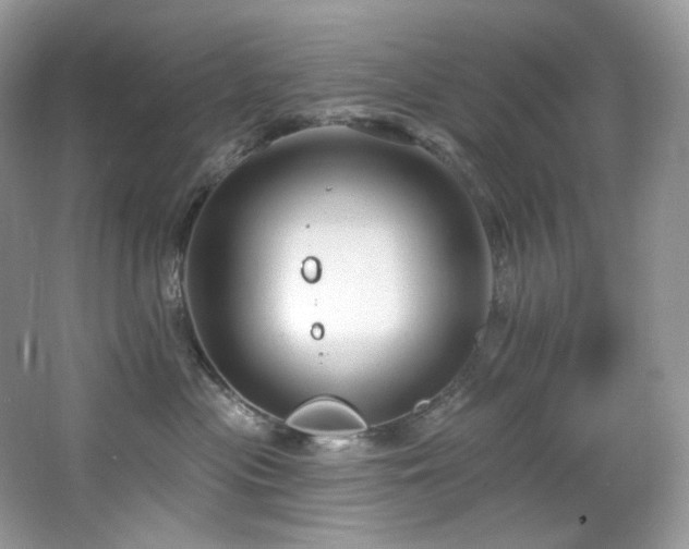 X0000065260477200602171459